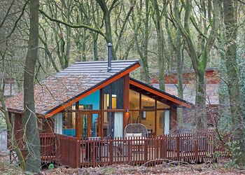 Golden Oak Hideaway pet - Delamere Forest Lodges, Frodsham