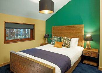 Golden Oak Hideaway pet - Delamere Forest Lodges, Frodsham