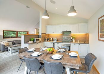 White Willow Premium 3 - Delamere Forest Lodges, Frodsham