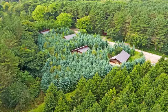 Delamere Forest Lodges, Frodsham