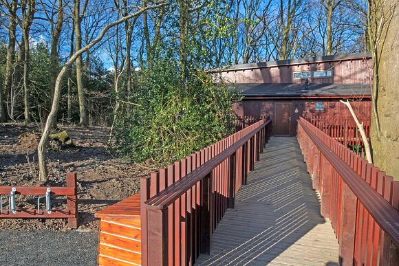 Silver Birch 2 WF Pet - Delamere Forest Lodges, Frodsham