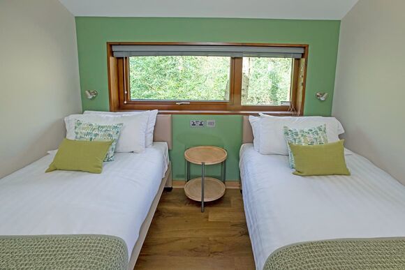 Golden Oak Treehouse - Delamere Forest Lodges, Frodsham