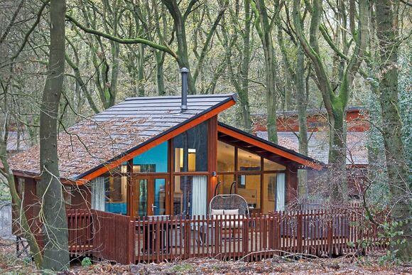 Golden Oak Hideaway pet - Delamere Forest Lodges, Frodsham