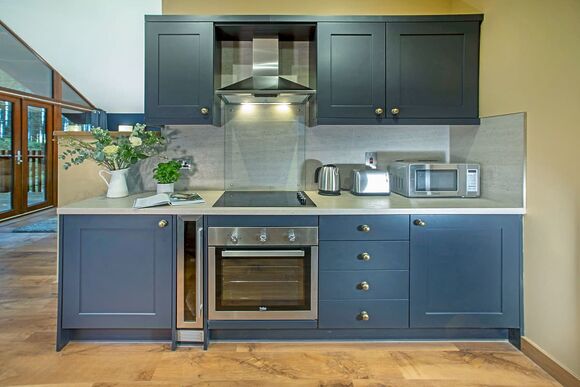 Golden Oak Hideaway pet - Delamere Forest Lodges, Frodsham