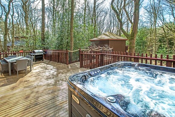 Golden Oak Treehouse Pet - Delamere Forest Lodges, Frodsham