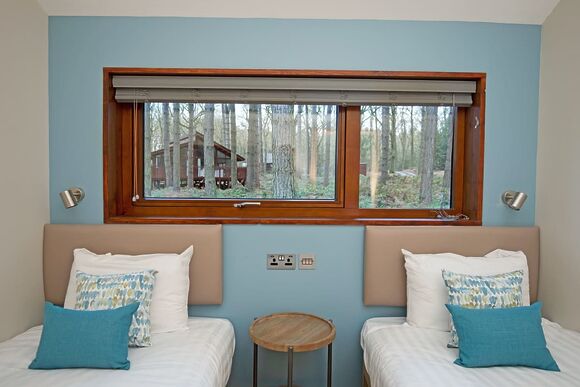 Silver Birch 3 (Double) Pet - Delamere Forest Lodges, Frodsham