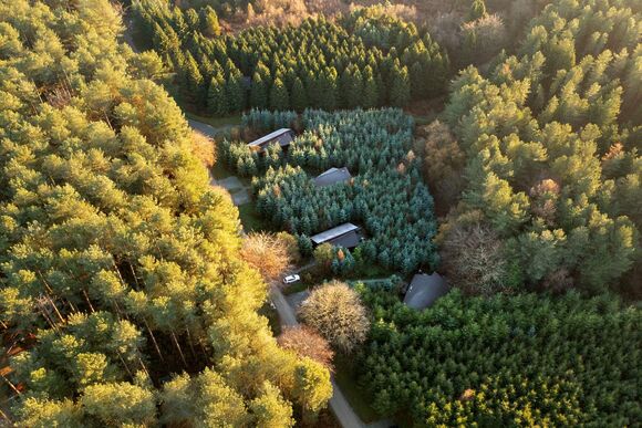 Silver Birch (Double) 3 Secluded View Pet - Delamere Forest Lodges, Frodsham