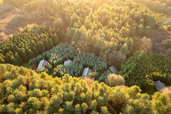 Silver Birch (Double) 3 Secluded View Pet - Delamere Forest Lodges, Frodsham