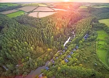 Deerpark Forest, Liskeard