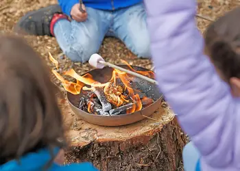 Deerpark Forest, Liskeard
