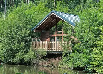 Classic Golden Oak Waterside 2 - Deerpark Forest, Liskeard