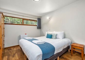 Classic Silver Birch 2 (Pet) - Deerpark Forest, Liskeard