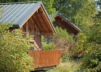 Classic Golden Oak 3 (Pet) - Deerpark Forest, Liskeard