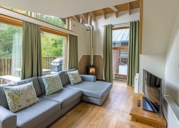 Classic Golden Oak Waterside 2 (Pet) - Deerpark Forest, Liskeard