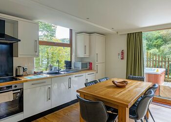 Classic Golden Oak Waterside 3 - Deerpark Forest, Liskeard