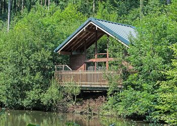 Classic Golden Oak Waterside 3 (Pet) - Deerpark Forest, Liskeard