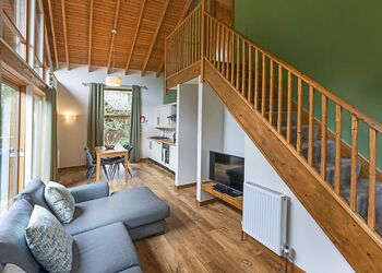 Classic Golden Oak Waterside 3 (Pet) - Deerpark Forest, Liskeard