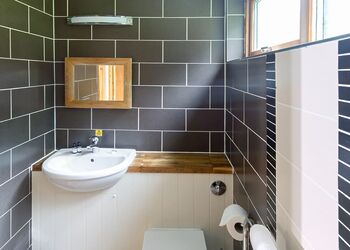 Classic Golden Oak Waterside 3 (Pet) - Deerpark Forest, Liskeard