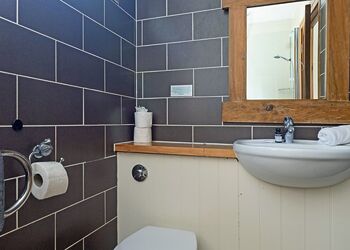 Classic Silver Birch 2 - Deerpark Forest, Liskeard