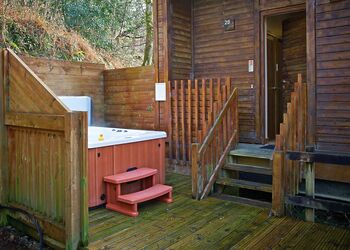 Classic Silver Birch 3 (Pet) - Deerpark Forest, Liskeard