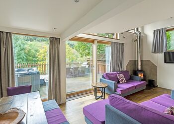 Classic Golden Oak Treehouse - Deerpark Forest, Liskeard