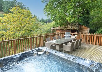 Classic Golden Oak Treehouse - Deerpark Forest, Liskeard