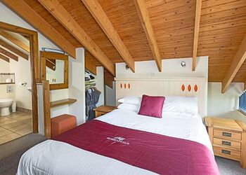 Classic Golden Oak Treehouse - Deerpark Forest, Liskeard