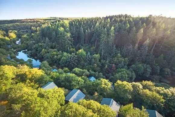 Deerpark Forest, Liskeard