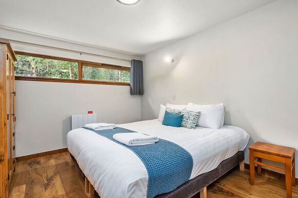 Classic Silver Birch 2 - Deerpark Forest, Liskeard