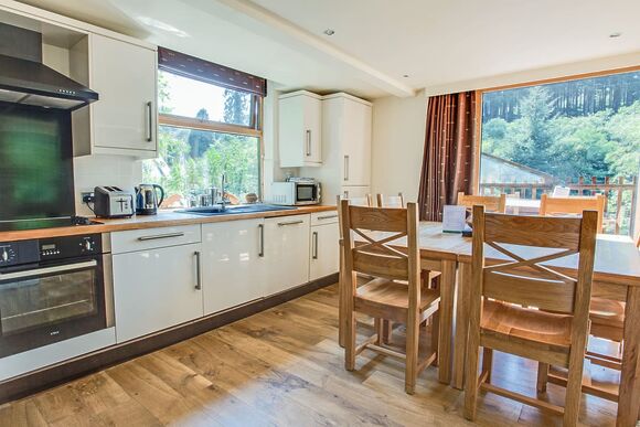 Classic Silver Birch 3 (Pet) - Deerpark Forest, Liskeard