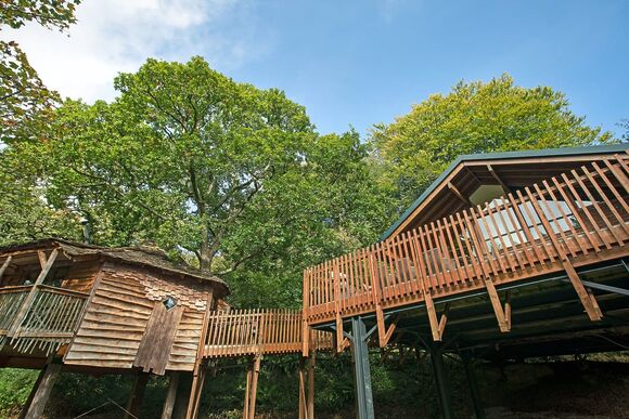 Classic Golden Oak Treehouse - Deerpark Forest, Liskeard