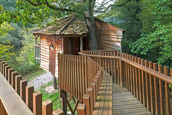 Classic Golden Oak Treehouse - Deerpark Forest, Liskeard