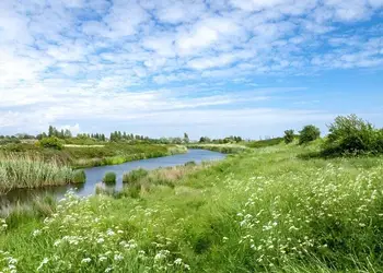 Dovercourt, Dovercourt 