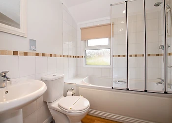 Falcon 3 HT Pet Friendly 