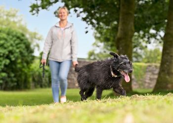 Premier Spa Holiday Home 3 - Doublebois Lodge Escape, Looe