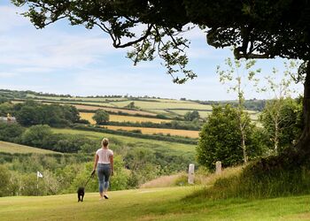 Premier Spa Lodge 2 - Doublebois Lodge Escape, Looe