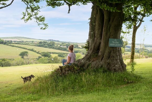 Classic Lodge 3 - Doublebois Lodge Escape, Looe
