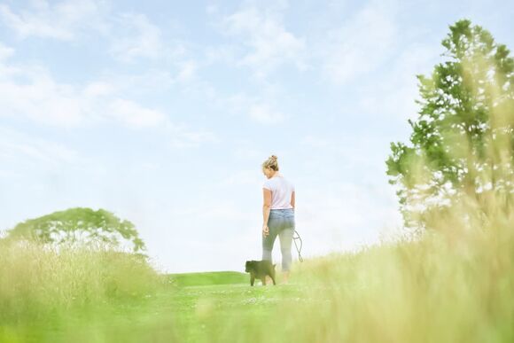 Premier Spa Lodge 3 - Doublebois Lodge Escape, Looe