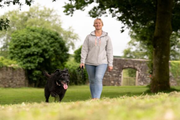 Premier Plus Spa Lodge 3 - Doublebois Lodge Escape, Looe