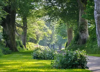 Woodovis Park photo 3