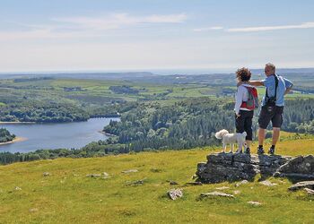 Dartmoor National Park 