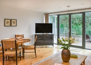 Fern - The Emerald, Carnon Downs