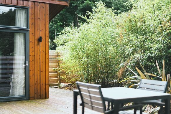 Boutique Spa Lodge 1 (Pets Welcome) - Erigmore Holiday Park, Birnam by Dunkeld