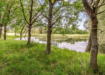 Stisted Lodge - The Essex Country Club, Earls Colne, Colchester