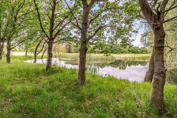 The Essex Golf and Country Club