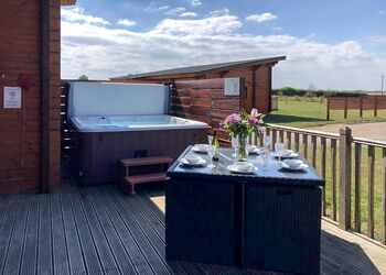 Saddleback (Pet) - Fairview Lodges, Withernsea