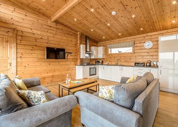 Saddleback (Pet) - Fairview Lodges, Withernsea