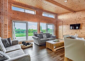 Pietrain Pet - Fairview Lodges, Withernsea