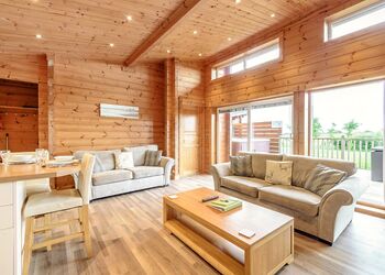 Pietrain Pet - Fairview Lodges, Withernsea