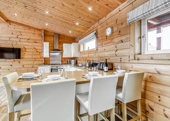 Pietrain Pet - Fairview Lodges, Withernsea